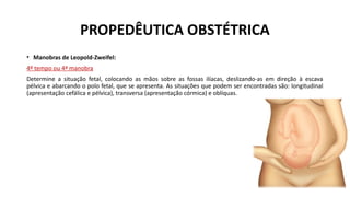 PROPEDÊUTICA OBSTÉTRICA
• Manobras de Leopold-Zweifel:
4º tempo ou 4ª manobra
Determine a situação fetal, colocando as mãos sobre as fossas ilíacas, deslizando-as em direção à escava
pélvica e abarcando o polo fetal, que se apresenta. As situações que podem ser encontradas são: longitudinal
(apresentação cefálica e pélvica), transversa (apresentação córmica) e oblíquas.
 