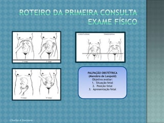 ROTEIRO DA PRIMEIRA CONSULTASexualidade: início da atividade sexual (idade e situação frente a primeira relação); desejo sexual (libido); orgasmo (prazer);dispareunia (dor ou desconforto durante o ato sexual);sexualidade na gestação atual; número de parceiros.Gestação atual: nomes dos medicamentos usados na gestação; a gestação foi ou não desejada; hábitos: fumo (número de cigarros/dia), álcool e use de drogas;ocupação habitual (esforço físico intenso, exposição a agentesquímicos e físicos potencialmente nocivos, estresse).Chirlei A Ferreira
