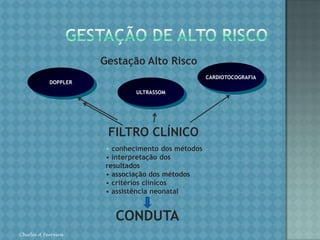 DOPPLERVELOCIMETRIAChirlei A Ferreira