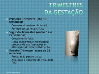 TRIMESTRESDA GESTAÇÃOPrimeiro Trimestre (até 13 semanas):Desenvolvimento embrionárioPeríodo gestacional críticoSegundo Trimestre (entre 14 e 27 semanas):Crescimento fetalUltra-sonografia e diagnóstico precoce de malformações e alterações do desenvolvimentoTerceiro Trimestre (acima de 28 semanas):Preparação para o partoAvaliação e controle da vitalidade fetalChirlei A Ferreira