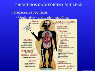 PRINCÍPIOS DA MEDICINA NUCLEAR
Fármacos específicos
• Órgão alvo - afinidade metabólica
Walter Siqueira Paes
 