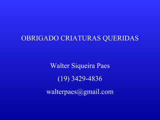OBRIGADO CRIATURAS QUERIDAS
Walter Siqueira Paes
(19) 3429-4836
walterpaes@gmail.com
 