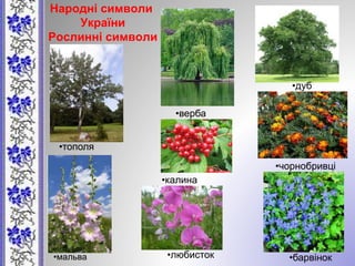 Народні символи
України
Рослинні символи
•верба
•дуб
•тополя
•калина
•чорнобривці
•любисток •барвінок•мальва
 