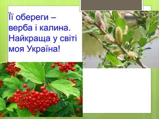 Її обереги –
верба і калина.
Найкраща у світі
моя Україна!
 