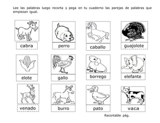 Lee las palabras luego recorta y pega en tu cuaderno las parejas de palabras que
empiezan igual.
Recortable pág.
pato
burro
caballo
perro guajolote
vaca
venado
cabra
elote gallo borrego elefante
 