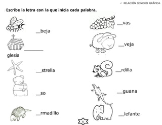 4
Escribe la letra con la que inicia cada palabra.
beja
glesia
strella
so
rmadillo
 RELACIÓN SONORO GRÁFICA.
vas
veja
rdilla
guana
lefante
 