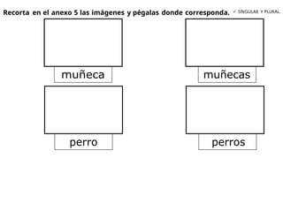 Recorta en el anexo 5 las imágenes y pégalas donde corresponda.  SINGULAR Y PLURAL.
muñeca muñecas
perro perros
 