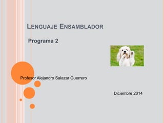 LENGUAJE ENSAMBLADOR
Programa 2
Profesor Alejandro Salazar Guerrero
Diciembre 2014
 