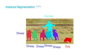 Dog
Human
Sheep
Sheep
Sheep Sheep Sheep
 