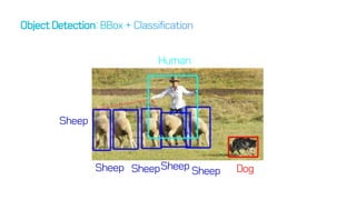 Sheep Dog
Human
Sheep
Sheep Sheep Sheep
 