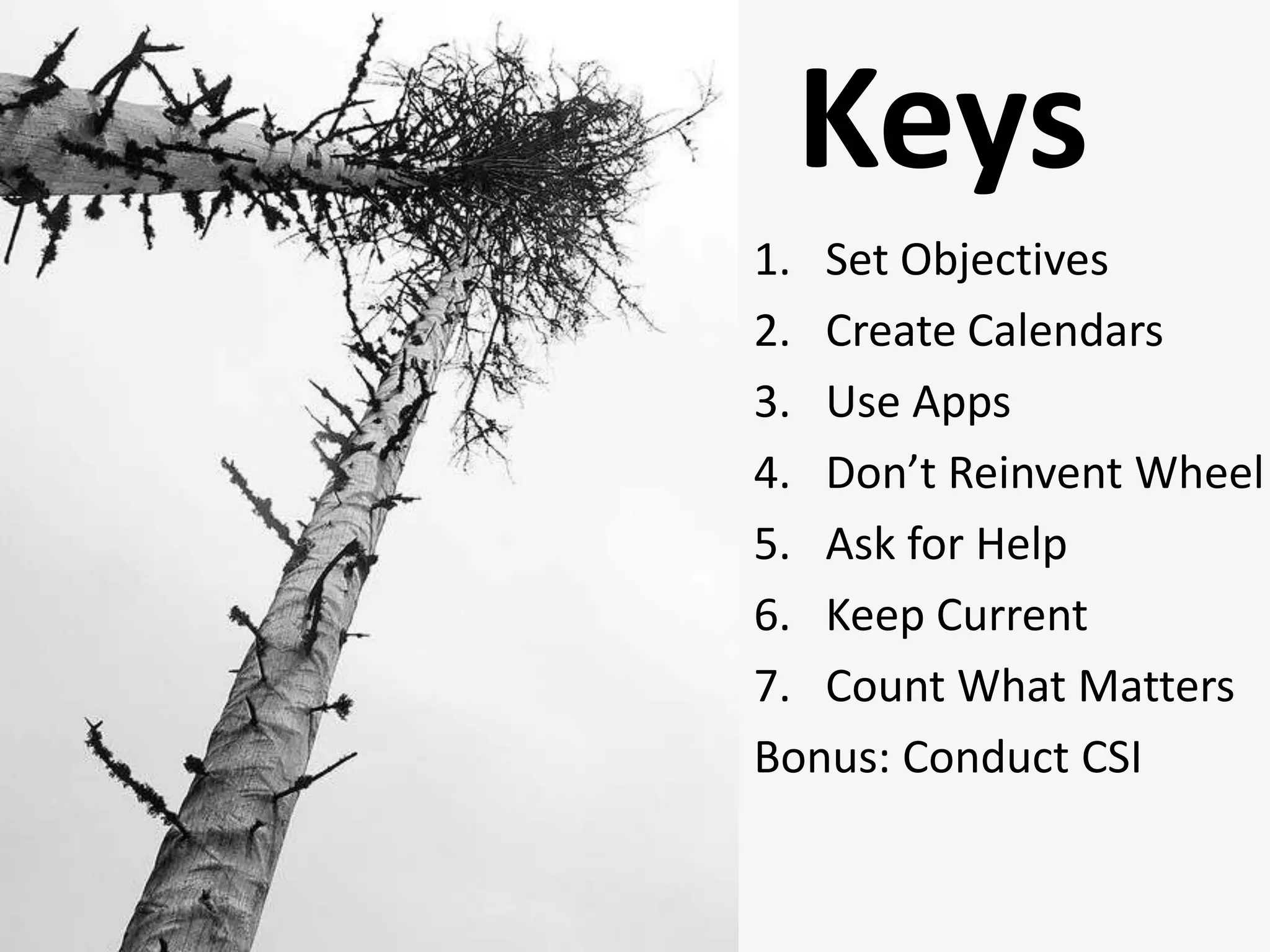 KeysSet ObjectivesCreate CalendarsUse AppsDon’t Reinvent WheelAsk for HelpKeep CurrentCount What MattersBonus: Conduct CSI
