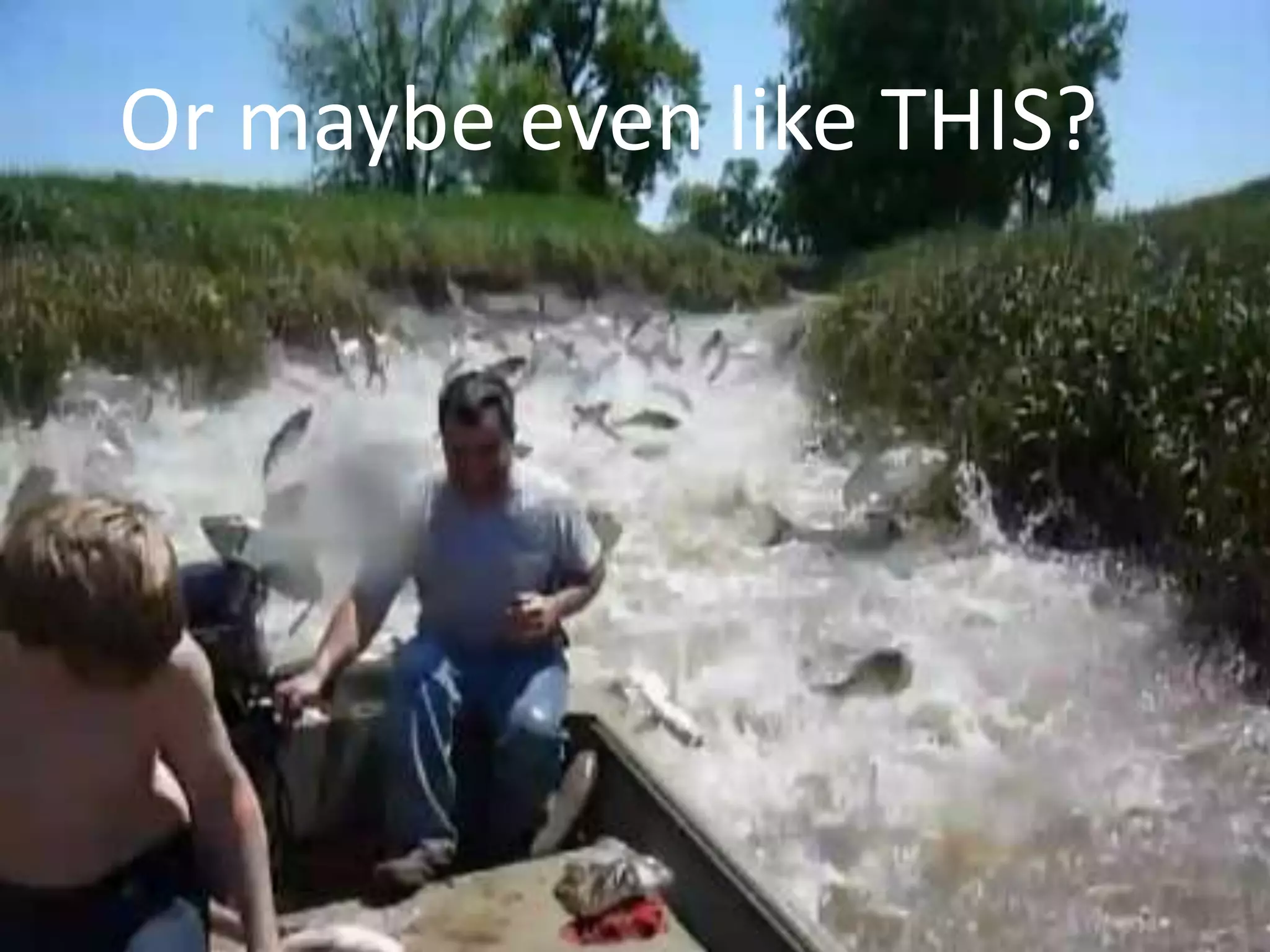 Or maybe even like THIS?