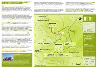 o que pode encontrar
PONTO DE INÍCIO O percurso inicia-se no terreiro de
estacionamento que dá acesso ao Santuário da Peninha. No topo de um
amontoado caótico de grandes blocos arredondados, frequentemente
envoltos em nevoeiros, foi construída a capela. Este “caos de blocos” foi
esculpido, pela erosão, na rocha sienítica do núcleo magmático da serra de
Sintra, hoje a descoberto.
FLORA
violetas Viola odorata
cravo-romano Armeria
pseudarmeria cocleária-
-menor Jonopsidium acaule
O caminho ladeia a ermida de S. Saturnino
gilbardeira Ruscus aculeatus dedaleira Digitalis purpurea
feto-de-folha-de-hera Asplenium hemionitis
erva-das-sete-sangrias Litodora prostata
carvalho-negral Quercus pyrenaica
Pode-se visitar o Adrenunes
As características da vegetação envolvente - prados e matos
foram determinadas pelos fortes ventos, pela utilização agro-pastoril
ancestral e pelos fogos sucessivos . São frequentes espécies mediterânicas
e ocidental-mediterrânicas como o zambujeiro Olea europaea var. sylvestris,
as , o tojo Ulex sp., o trovisco-fêmea Daphne
gnidium, ou as estevas Cistus sp. Território de plantas ameaçadas e com
área de distribuição muito limitada, como o
ou o cravo de Sintra Dianthus cintranus, a
ou a cravinha Silene longicilia.
e atravessa um pequeno
cupressal de cedro do Buçaco Cupressus lusitanica, árvore originária da
América Central, evidenciando tentativas de reflorestação da serra. Descendo
sempre um carreiro, onde mal entra o sol, a densidade de espécies
arbustivas aumenta, revelando uma maior disponibilidade em água. Surgem
a , a
ou a salsaparrilha-bastarda Smilax aspera, plantas que integravam o coberto
vegetal original. O ,
relíquia da floresta sub-topical húmida, anterior às glaciações, ainda aqui
consegue sobreviver, tal como o feto-dos-carvalhos Davallia canariensis.
Depois de sair do cupressal, o caminho continua por entre vegetação natural,
rica em espécies aromáticas e medicinais: o pilriteiro Crataegus monogyna, a
, o medronheiro Arbutus
unedo, o sabugueiro Sambucus nigra, a silva Rubus ulmifolius, a madressilva
Lonicera implexa, a erva-roberta Geranium purpureum, a erva-doce
Foeniculum vulgare. Em alguns locais observa-se a regeneração de carvalhos
- o , sobreiro Quercus suber, o
carvalho-cerquinho Quercus faginea sempre ameaçada por plantas
originárias de outros locais: as acácias - Acacia melanoxylon e A. longifolia
-, a árvore-do-incenso Pittosporum undullatum ou a háquia Hakea sp..
antes de avançar pelo
caminho que acompanha, pelo lado norte, a mata de cedros.
,
(excepto de Janeiro a Junho, para
não perturbar a nidificação de aves ameaçadas)
3
ADRENUNES A disposição dos penedos
lembra um monumento megalítico de tipo
anta. Para oeste avistará o farol do Cabo
da Roca e a Pedra da Ursa, para sueste a
Peninha, a nordeste o vale da Adraga e
mais ao longe o casario da Praia das
Maçãs. A vegetação, rica em plantas
aromáticas e medicinais encontra-se ameaçada pelo pitósporo, a
acácia ou o chorão Carpobrotus edulis. Esta área é território de caça de
aves de rapinas, nomeadamente da águia de Bonelli.
Chegados ao parque de merendas das Pedras Irmãs podemos ver o
trovisco-láureola Daphne laureola, único local onde, em Portugal, encontra
condições para crescer ou a primula Primula vulgaris. A erva-da-fortuna
Tradescantia sp., espécie invasora, e a hera Hedera helix cobrem o solo
das zonas ensombradas, até perto do local de início do percurso.
FAUNA A fauna selvagem não é abundante nem fácil de observar, mas
poderá deparar-se com o peneireiro-comum Falco tinnunculus, o rabirruivo-
preto Phoenicurus ochrurus, a águia-de-asa-redonda Buteo buteo, a
lagartixa-do-mato Psammodromus algirus, o ,
a ou coelhos-bravos
Oryctolagus cuniculus. Por entre o arvoredo podem ouvir-se o chapim-azul
Parus caeruleus ou o pisco-de-peito-ruivo Erithacus rubecula.
Mais difíceis de observar são a genetaGeneta geneta ou a raposa Vulpes
vulpes embora frequentes. Espécies raras e ameaçadas em Portugal são a
, a cobra-de-capuz
Macroprotodon cuccullatus ou a .
sardão Lacerta lepida
salamandra Salamandra salamandra
águia de Bonelli Hieraaetus fasciatus
víbora-cornuda Vipera latastei
FIG.01
FIG.02
FIG.03
FIG.04 FIG.05
FIG.06
FIG.07
FIG.08
FIG.09
FIG.10
FIG.11
FIG.12
100-150
150-200
200-250
250-300
300-350
350-400
400-450
450-500
Sinalização ao longo
do percurso
Altimetria (m)
PR10 SNT
Percurso da Peninha
Estrada asfaltada
Caminho
Carreteiro
Caminho de pé posto
Linha de água
Sinal geodésico
Ligações
Pr3 CSC - Rota das Aldeias
Capela da Peninha
Ermida de S. Saturnino
3 Adrenunes
Pontos de Interesse
Ponto de partida/chegada
Estacionamento junto ao
acesso à Peninha
Caminho certo Caminho errado
Virar à esquerda Virar à direita
Parque de
estacionamento
Entrada
condicionada
Parque de
merendas
Panorâmica
Ponto de
voo livre
Azulejaria
Ponto de interesse
geológico
Vestígios de
escavações
arqueológicas
Igreja
(acesso a veículos autorizados)
 