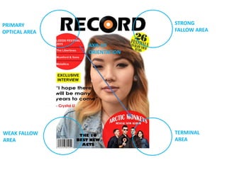 STRONG
FALLOW AREA
PRIMARY
OPTICAL AREA
WEAK FALLOW
AREA
TERMINAL
AREA
AXIS OF
ORIENTATION
 