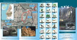 Azevinho Carrasco Carvalho-português
Carvalho-roble Cedro do Buçaco Feto-dos-carvalhos
Loureiro Violeta Zambujeiro
Raposa
FICHA TÉCNICA: TEXTO: PNSC - ILUSTRAÇÕES: ALFREDO DA CONCEIÇÃO, FERNANDO CORREIA, JOÃO CRUZ, MARCO CORREIA, MARCOS OLIVEIRA, NUNO FARINHA, PEDRO SALGADO - FOTOS : JOÃO LUIS DÓRIA, JOSÉ VENTURA, MANUELA MARCELINO, RUI CUNHA
e JUNTA DE TURISMO DA COSTA DO ESTORIL
ALGUMAS ESPÉCIES OBSERVÁVEIS NO
PERCURSO
Coruja-do-matoConvento dos Capuchos
PERCURSO MONGEPARQUE NATURAL DE SINTRA - CASCAIS
Geneta
Águia-de-asa-redonda Águia de Bonelli Coruja-do-mato
Gavião
Víbora-cornuda Sardão Salamandra
Pica-pau Pisco-de-peito-ruivo
Musaranho-de-dentes-
-vermelhos
Capuchos
Memória
Pedras
Irmãs
Monge
Peninha
Monge
Para mais informações sobre outros Percursos
disponíveis, contacte :
Parque Natural de Sintra Cascais
Tel.: 21 924 72 00
Câmara Municipal de Sintra
Divisão de Desporto - Tel.: 21 923 61 42
Posto de Turismo de Sintra - Tel.: 21 923 11 57
CABO RASO
SINTRA
OCEANOATLÂNTICO
ESTORIL
CASCAIS
PRAIA DO MAGOITO
GUINCHO
PRAIA GRANDE
MALVEIRA DA SERRA
CABO DA ROCA
 