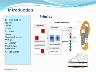 Principe
1. Introduction
Objectifs
L’équipe
Principe
2. Projet
Capteur
Acquisition/Traitement
Affichage
3. Le Bilan
Bilan technique
Bilan humain
4. Conclusion




Stage technicien I3                 4
 