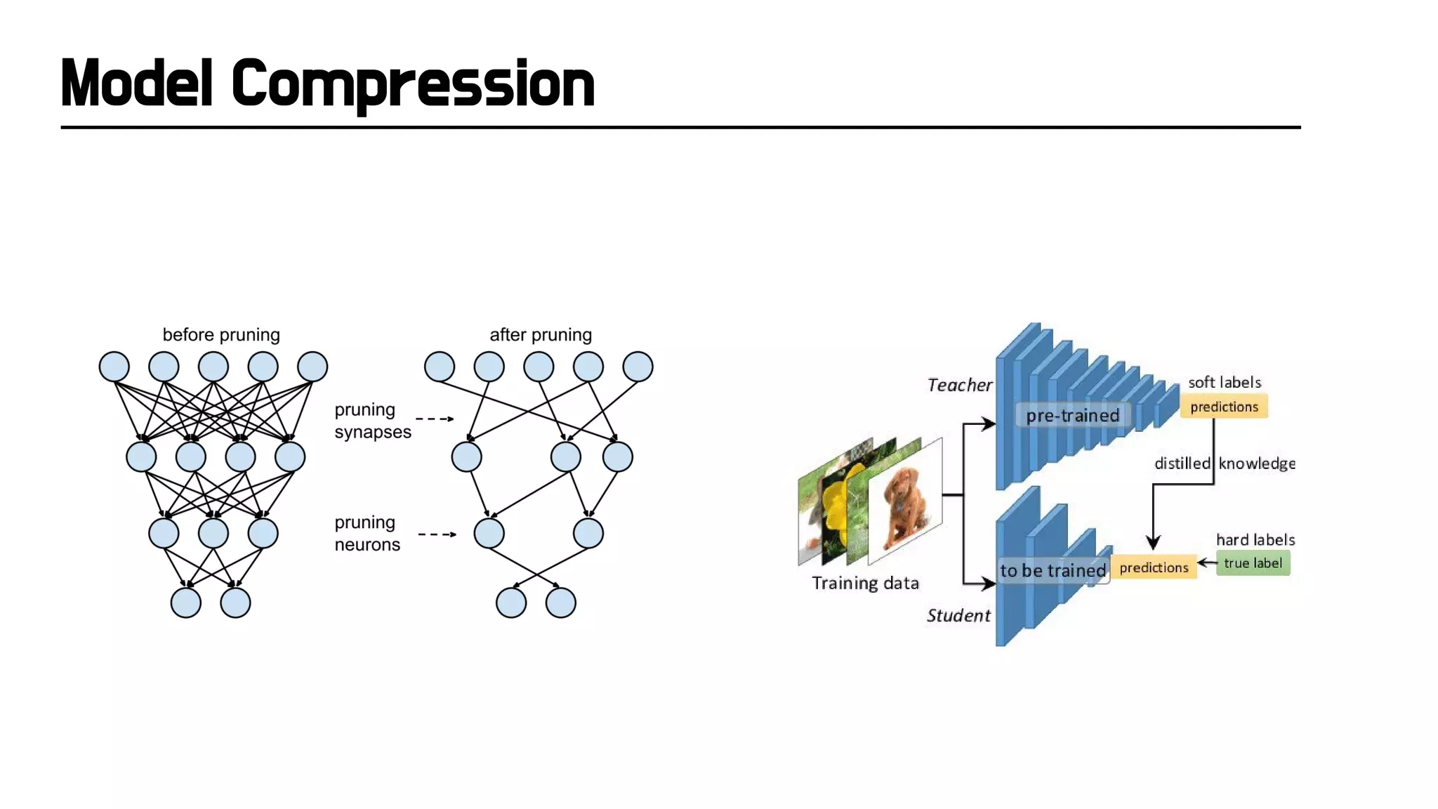 Model Compression
 