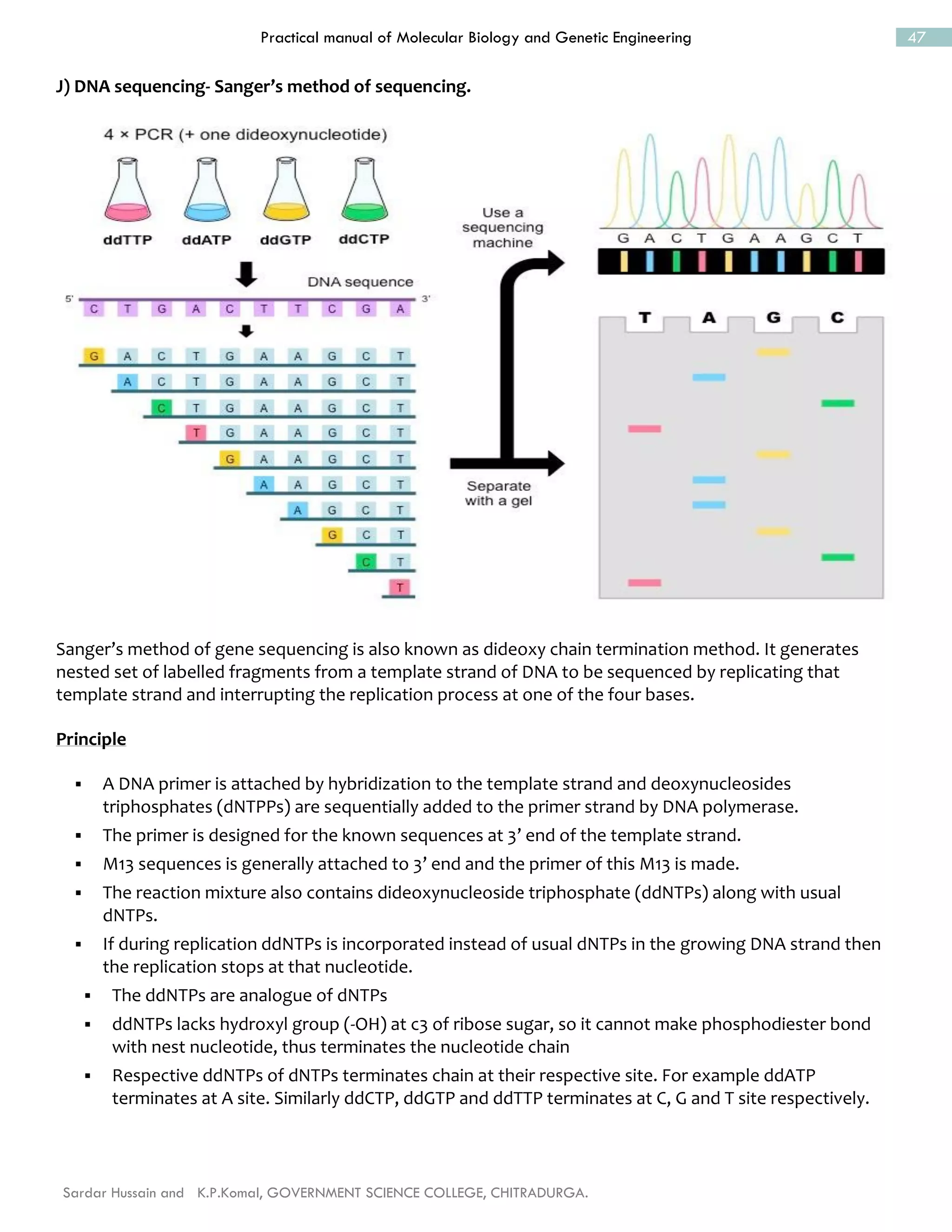 practical manual on molecular biology and genetic engineering ...