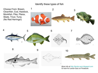 1 2 3 4 5 6 7 8 9 10 Identify these types of fish More info at  http://landor-quiz.blogspot.com Or look for Landor Quiz on Facebook Choose From: Bream, Clownfish, Cod, Haddock, Monkfish, Pike, Plaice, Skate, Trout, Tuna,  (No Red Herrings!) 