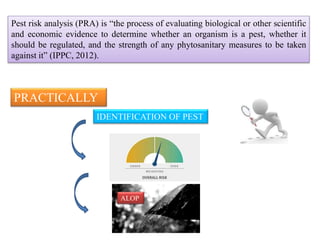 Pest risk analysis (PRA) is “the process of evaluating biological or other scientific
and economic evidence to determine whether an organism is a pest, whether it
should be regulated, and the strength of any phytosanitary measures to be taken
against it” (IPPC, 2012).
IDENTIFICATION OF PEST
PRACTICALLY
OVERALL PEST RISK
ALOP
 