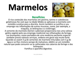 Marmelos
                             Benefícios
      O rico conteúdo dos marmelos em pectina, tanino e substâncias
  gelatinosas fez com que na Idade Média se aplicasse o marmelo com
     remédio curativo para a diarréia. Assim também se justifica o seu
   emprego nas inflamações de outras mucosas, como, por exemplo, a
                   traquéia, os brônquios e o estômago.
 A semente do marmelo (Semen cydoniae) proporciona-nos uma valiosa
 geléia vegetal pelo seu emprego medicinal nas inflamações da faringe,
  nas bronquites; como portadora de uma medicina excitante especial
   também presta valiosos serviços, embora em geral seja muito forte.
  Quando se cozem 5 g de sementes de marmelo triturados com 5 g de
    água e se lhes mistura xarope de malvaísco, obtêm-se um remédio
natural que pode consumir-se às colheradas nos catarros da faringe e dos
                                  brônquios.
                       Fortifica o aparelho digestivo.

                               Ana Sofia Rebelo
 