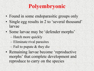 Pra embryonic and post-embryonic development in insect | PDF