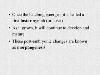 Pra embryonic and post-embryonic development in insect | PDF
