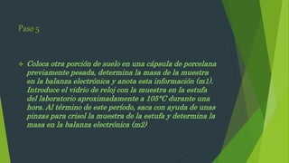 Paso 5
 Coloca otra porción de suelo en una cápsula de porcelana
previamente pesada, determina la masa de la muestra
en la balanza electrónica y anota esta información (m1).
Introduce el vidrio de reloj con la muestra en la estufa
del laboratorio aproximadamente a 105°C durante una
hora. Al término de este período, saca con ayuda de unas
pinzas para crisol la muestra de la estufa y determina la
masa en la balanza electrónica (m2)
 