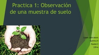Practica 1: Observación
de una muestra de suelo
López León Alexis
Química II
Equipo 2
239-A
 