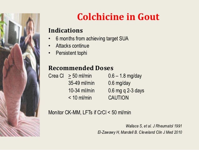 Colchicine Gout Flare