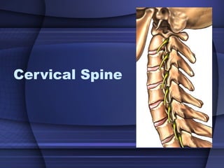 Cervical Spine 