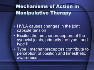 Mechanisms of Action in Manipulative Therapy HVLA causes changes in the joint capsule tension Excites the mechanoreceptors of the synovial joints, primarily the type I and type II Type I mechanoreceptors contribute to perception of position and kinesthetic awareness  