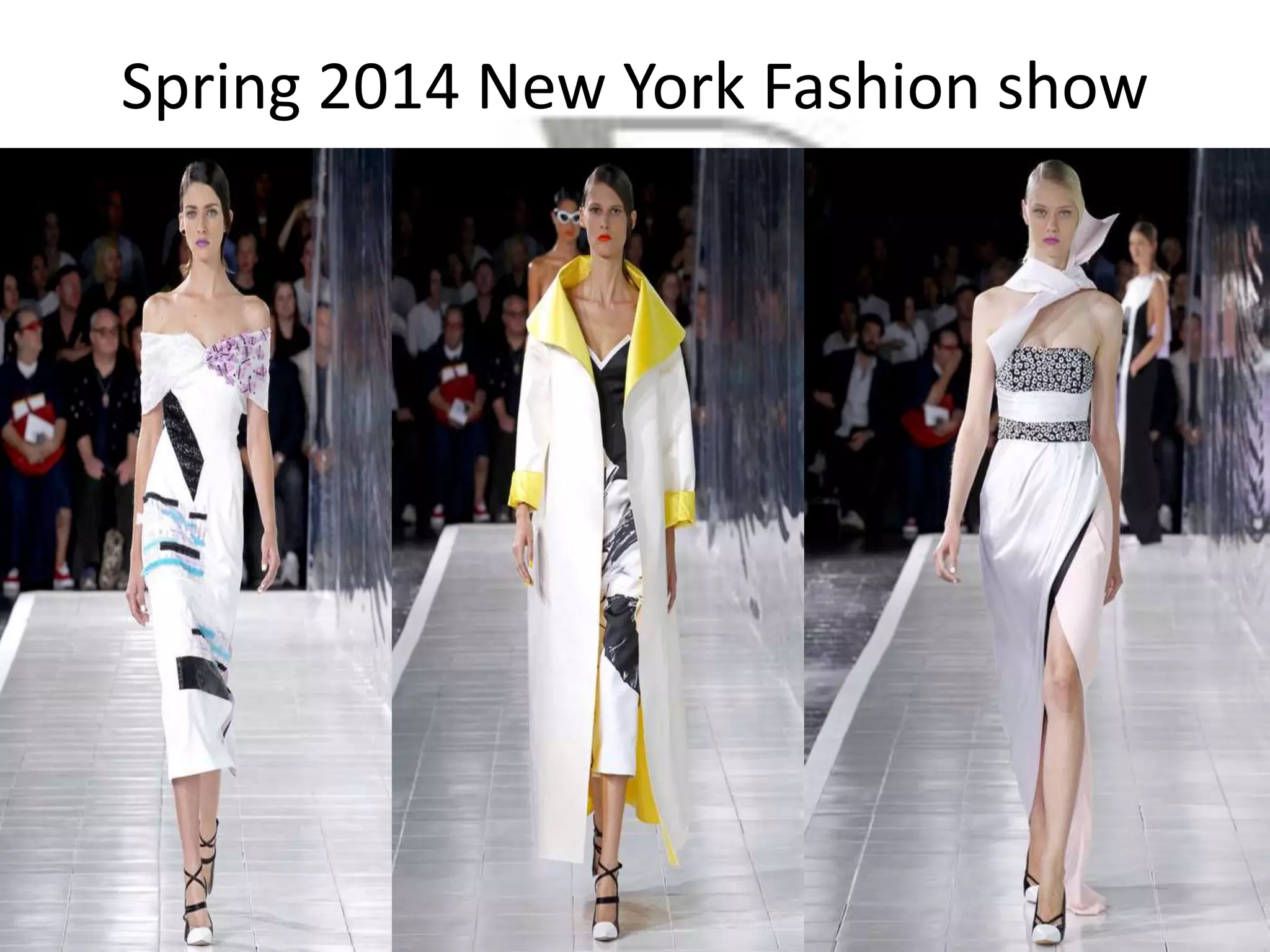 Spring 2014 New York Fashion show
 