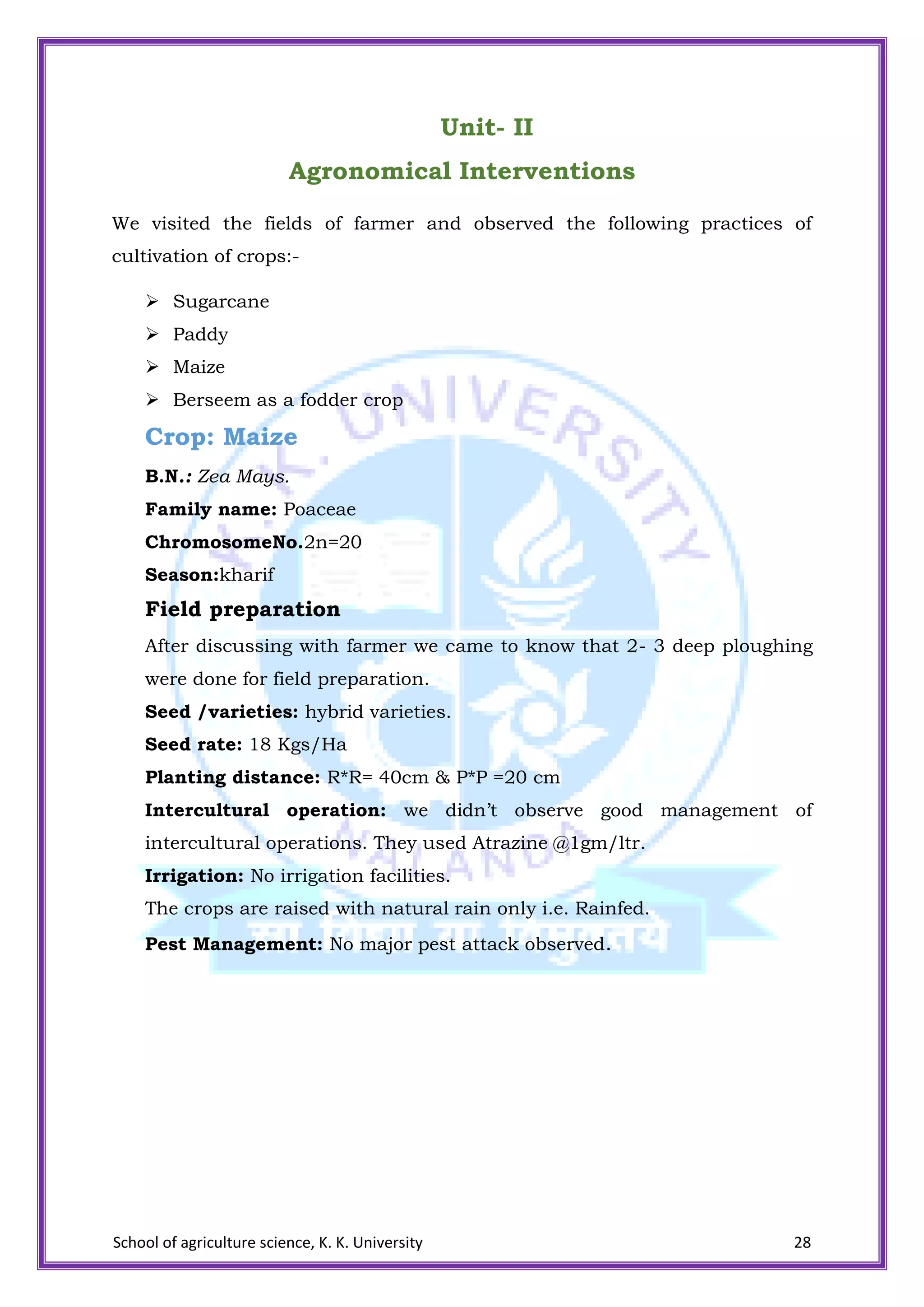 School of agriculture science, K. K. University 28
Unit- II
Agronomical Interventions
We visited the fields of farmer and observed the following practices of
cultivation of crops:-
 Sugarcane
 Paddy
 Maize
 Berseem as a fodder crop
Crop: Maize
B.N.: Zea Mays.
Family name: Poaceae
ChromosomeNo.2n=20
Season:kharif
Field preparation
After discussing with farmer we came to know that 2- 3 deep ploughing
were done for field preparation.
Seed /varieties: hybrid varieties.
Seed rate: 18 Kgs/Ha
Planting distance: R*R= 40cm & P*P =20 cm
Intercultural operation: we didn’t observe good management of
intercultural operations. They used Atrazine @1gm/ltr.
Irrigation: No irrigation facilities.
The crops are raised with natural rain only i.e. Rainfed.
Pest Management: No major pest attack observed.
 