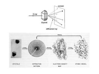 Prabhakar singh  ii sem-paper v-x ray diffraction