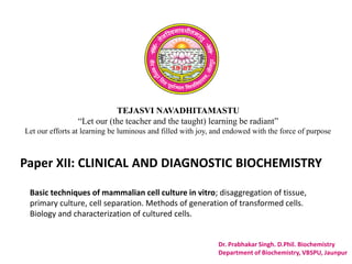 TEJASVI NAVADHITAMASTU
“Let our (the teacher and the taught) learning be radiant”
Let our efforts at learning be luminous and filled with joy, and endowed with the force of purpose
Paper XII: CLINICAL AND DIAGNOSTIC BIOCHEMISTRY
Dr. Prabhakar Singh. D.Phil. Biochemistry
Department of Biochemistry, VBSPU, Jaunpur
Basic techniques of mammalian cell culture in vitro; disaggregation of tissue,
primary culture, cell separation. Methods of generation of transformed cells.
Biology and characterization of cultured cells.
 