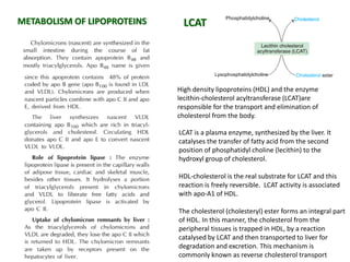Prabhakar singh iv sem-disorder of lipids | PDF