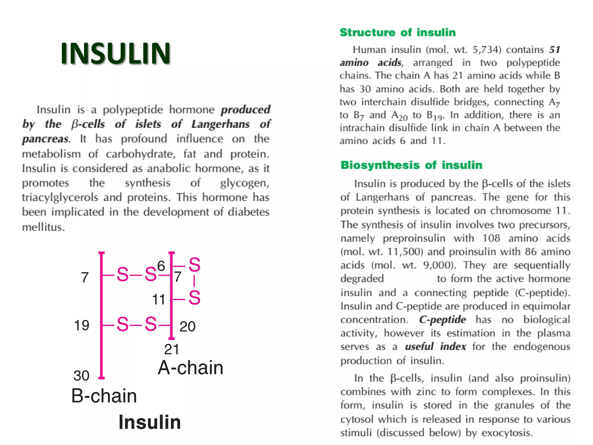 INSULIN
 