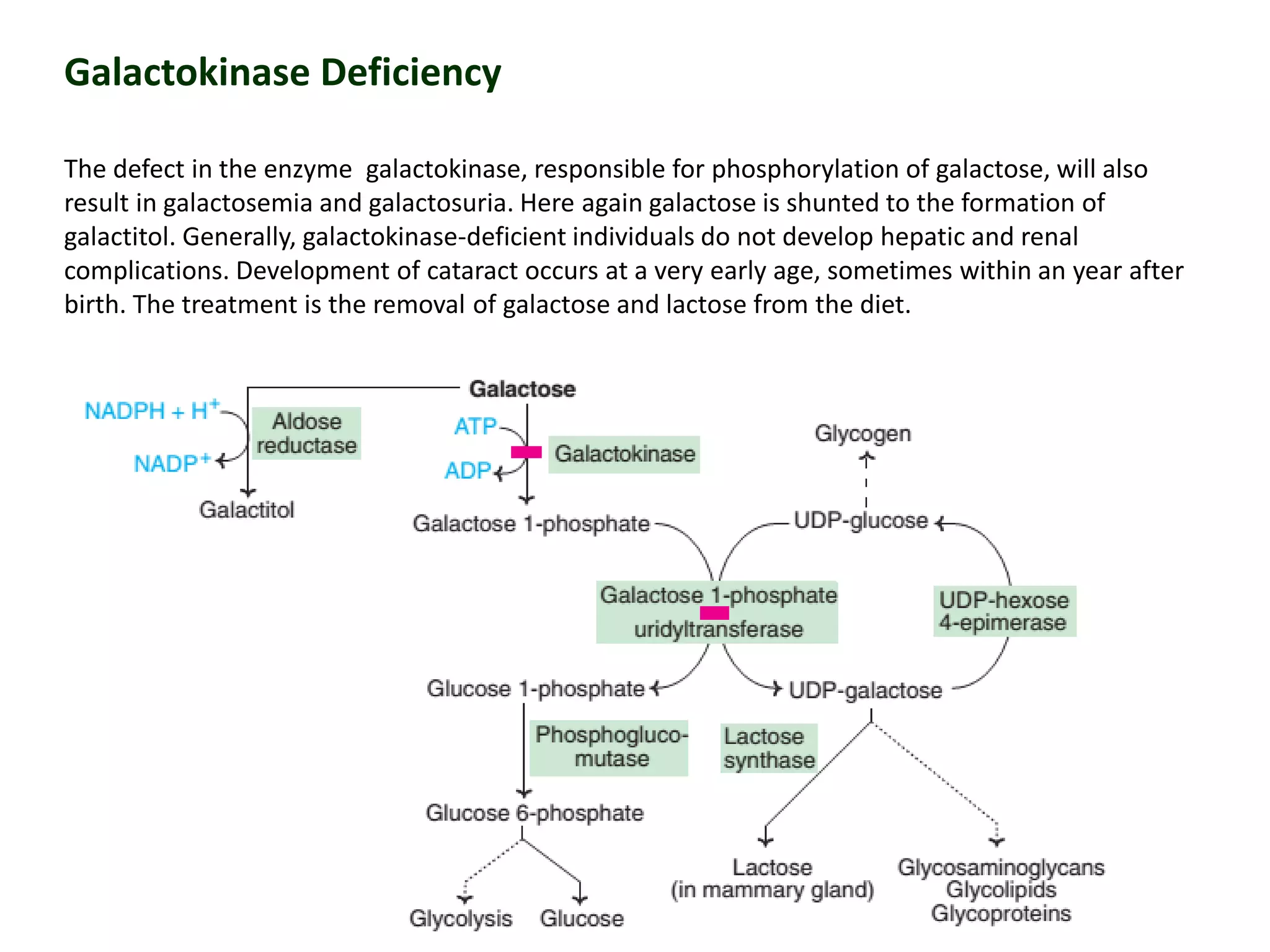 Galactokinase Deficiency
The defect in the enzyme galactokinase, responsible for phosphorylation of galactose, will also
result in galactosemia and galactosuria. Here again galactose is shunted to the formation of
galactitol. Generally, galactokinase-deficient individuals do not develop hepatic and renal
complications. Development of cataract occurs at a very early age, sometimes within an year after
birth. The treatment is the removal of galactose and lactose from the diet.
 
