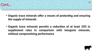 Role of Supplementation of Chelated Minerals in Ruminant Production ...