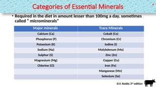 Role of Supplementation of Chelated Minerals in Ruminant Production ...