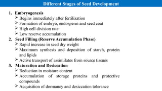 SEED DEVELOPMENT AND CHEMICAL COMPOSITION | PPTX
