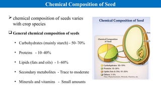 SEED DEVELOPMENT AND CHEMICAL COMPOSITION | PPTX