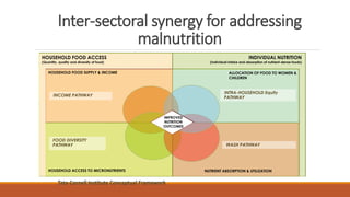 Inter-sectoral synergy for addressing
malnutrition
Tata-Cornell Institute Conceptual Framework
HOUSEHOLD FOOD SUPPLY & INCOME
HOUSEHOLD ACCESS TO MICRONUTRIENTS NUTRIENT ABSORPTION & UTILIZATION
INTRA-HOUSEHOLD Equity
PATHWAY
WASH PATHWAY
FOOD DIVERSITY
PATHWAY
INCOME PATHWAY
HOUSEHOLD FOOD ACCESS
(Quantity, quality and diversity of food)
INDIVIDUAL NUTRITION
(Individual intake and absorption of nutrient-dense foods)
IMPROVED
NUTRITION
OUTCOMES
ALLOCATION OF FOOD TO WOMEN &
CHILDREN
 