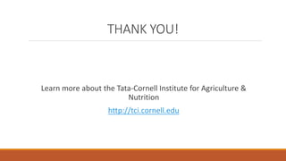 THANK YOU!
Learn more about the Tata-Cornell Institute for Agriculture &
Nutrition
http://tci.cornell.edu
 