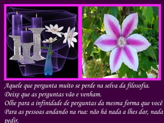 Aquele que pergunta muito se perde na selva da filosofia. Deixe que as perguntas vão e venham. Olhe para a infinidade de perguntas da mesma forma que você olha Para as pessoas andando na rua: não há nada a lhes dar, nada a lhes pedir.  