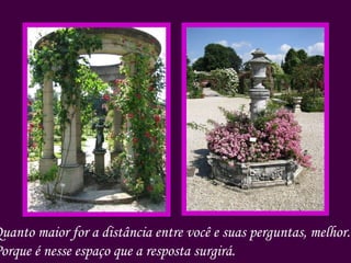 Quanto maior for a distância entre você e suas perguntas, melhor. Porque é nesse espaço que a resposta surgirá. 