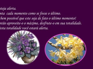 Esteja alerta. Sinta  cada momento como se fosse o último. É bem possível que este seja de fato o último momento! Então aproveite-o o máximo, desfrute-o em sua totalidade. Nesta totalidade você estará alerta. 