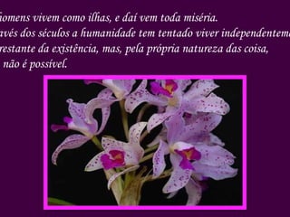 Os homens vivem como ilhas, e daí vem toda miséria. Através dos séculos a humanidade tem tentado viver independentemente Do restante da existência, mas, pela própria natureza das coisa, Isso não é possível. 