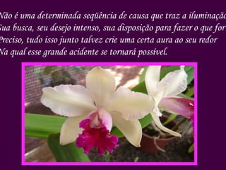 Não é uma determinada seqüência de causa que traz a iluminação. Sua busca, seu desejo intenso, sua disposição para fazer o que for  Preciso, tudo isso junto talvez crie uma certa aura ao seu redor Na qual esse grande acidente se tornará possível. 